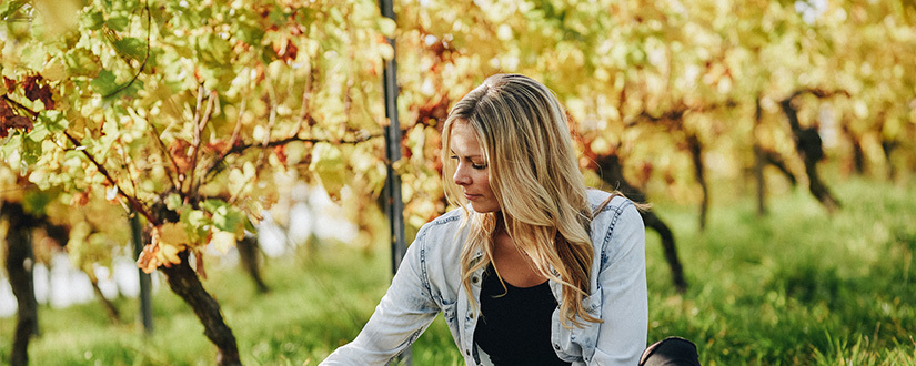 Weingut Sabrina Becker • Wein kaufen