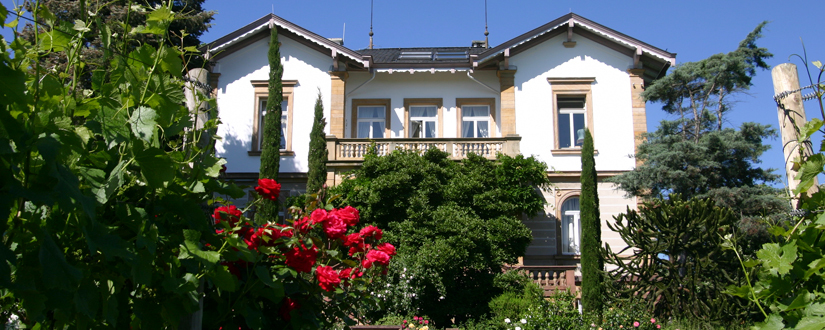 Weingut Motzenbäcker by Marie Menger-Krug • Wein kaufen