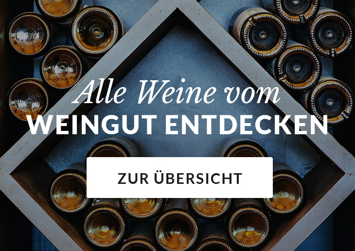 Weingut Motzenbäcker by Marie Menger-Krug